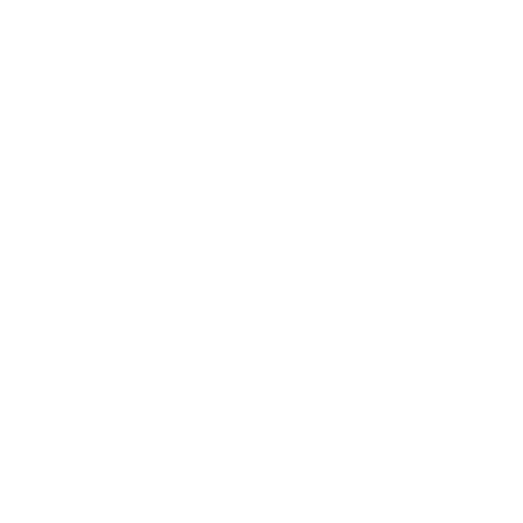 Wizzard cat in the mountains