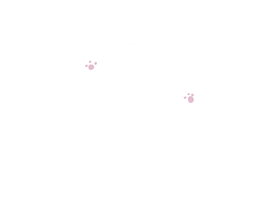 cat typing